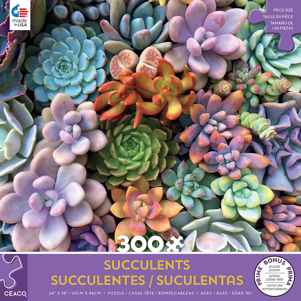 SUCCULENTS - PASTELS 300pcXL