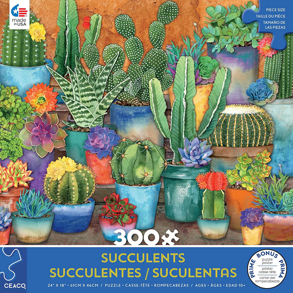 SUCCULENTS - SYNERGY 300pcXL