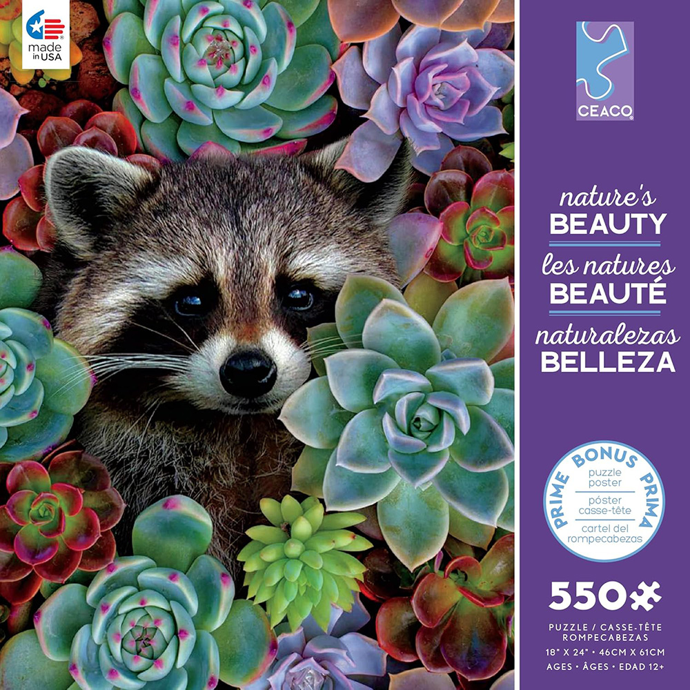 NATURE'S BEAUTY RACCOON 550pc