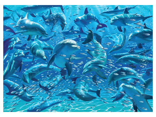 DOUBLE-TROUBLE 500pc DOLPHINS - Click Image to Close