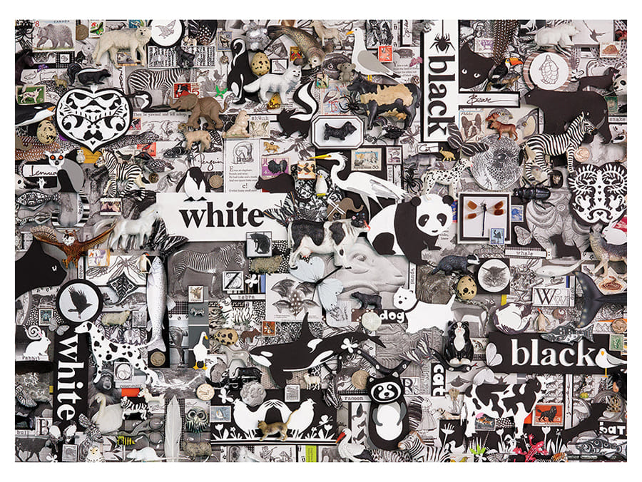 BLACK & WHITE ANIMALS - Click Image to Close