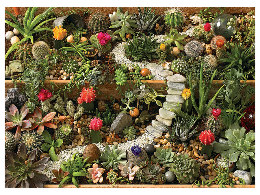 SUCCULENT GARDEN 1000pc - Click Image to Close