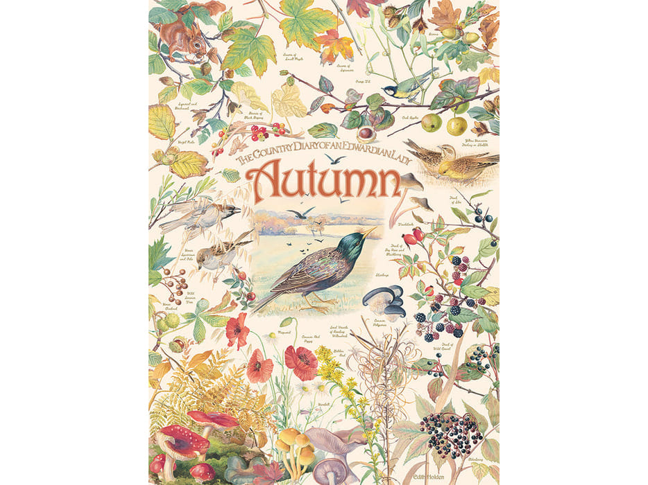 COUNTRY DIARY: AUTUMN 1000pc - Click Image to Close