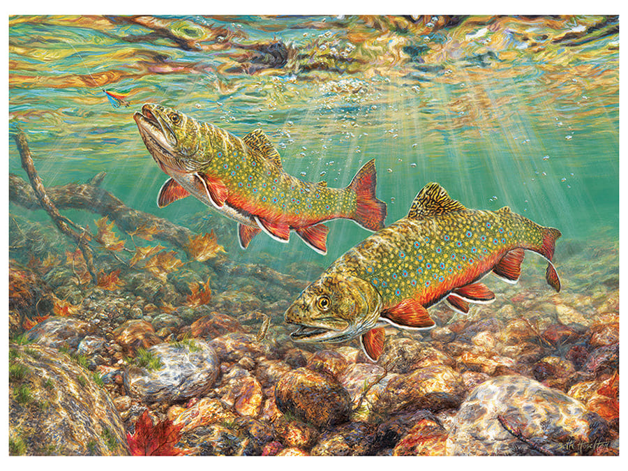 BROOK TROUT 1000pc - Click Image to Close