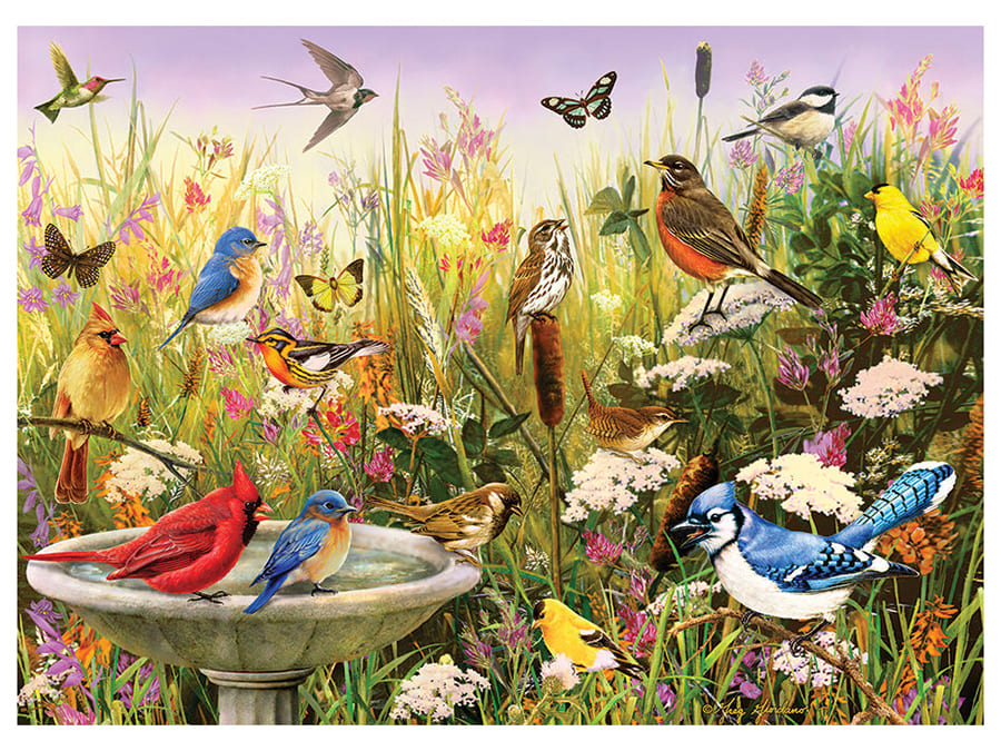 FEATHERED FRIENDS 1000pc - Click Image to Close