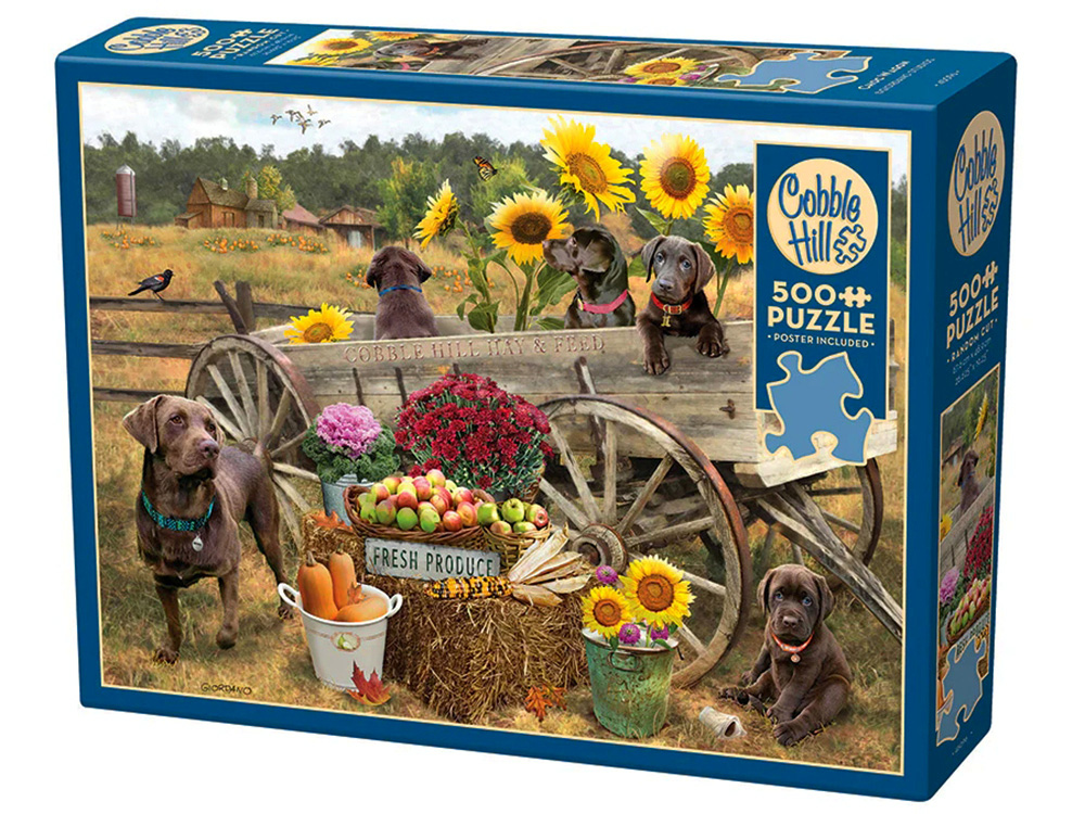CHOC WAGON 500pc