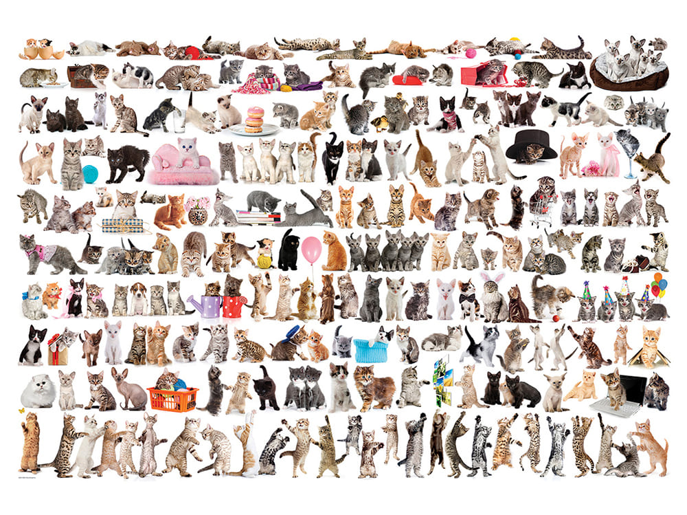THE WORLD OF CATS 2000pc - Click Image to Close