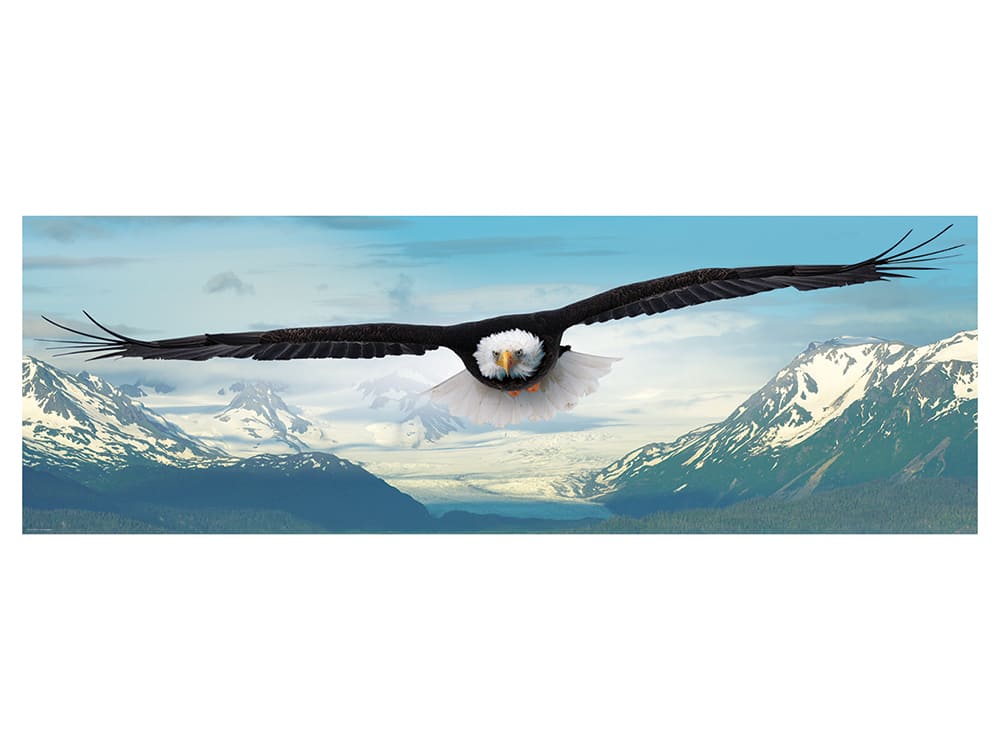 EAGLE panoramic 1000pc - Click Image to Close
