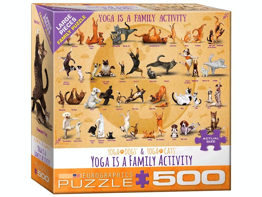 YOGA FAMILY ACTIVITY 500pcXL