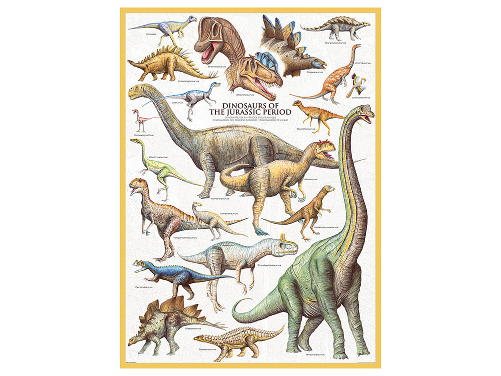 DINOSAURS JURASSIC PERIOD - Click Image to Close