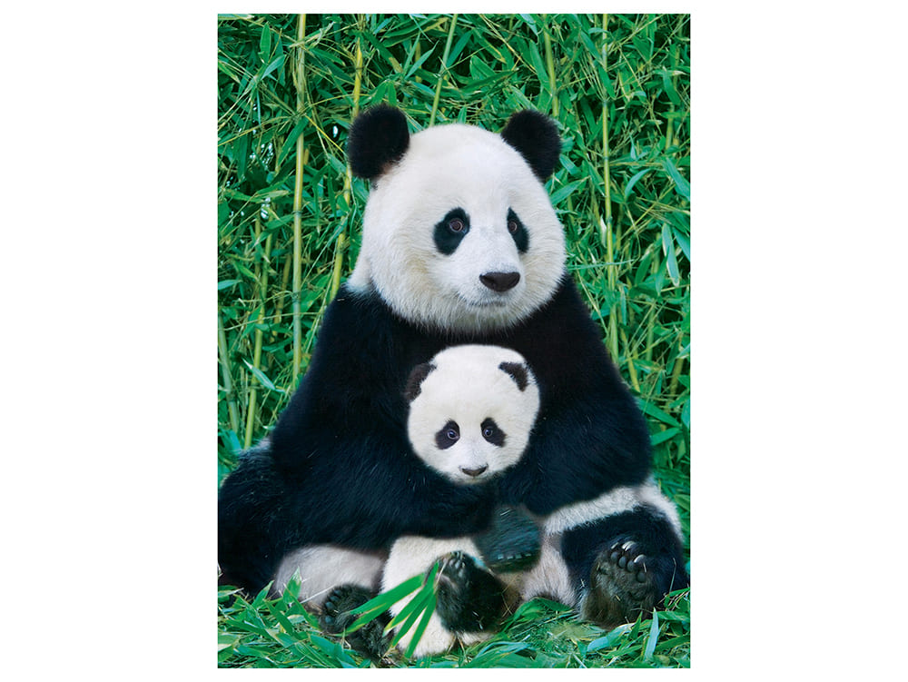 PANDA & BABY 1000pc - Click Image to Close