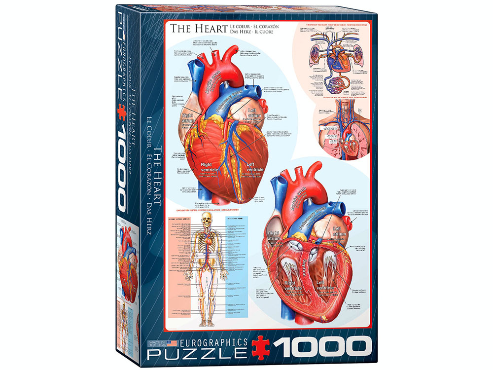 THE HEART 1000pc