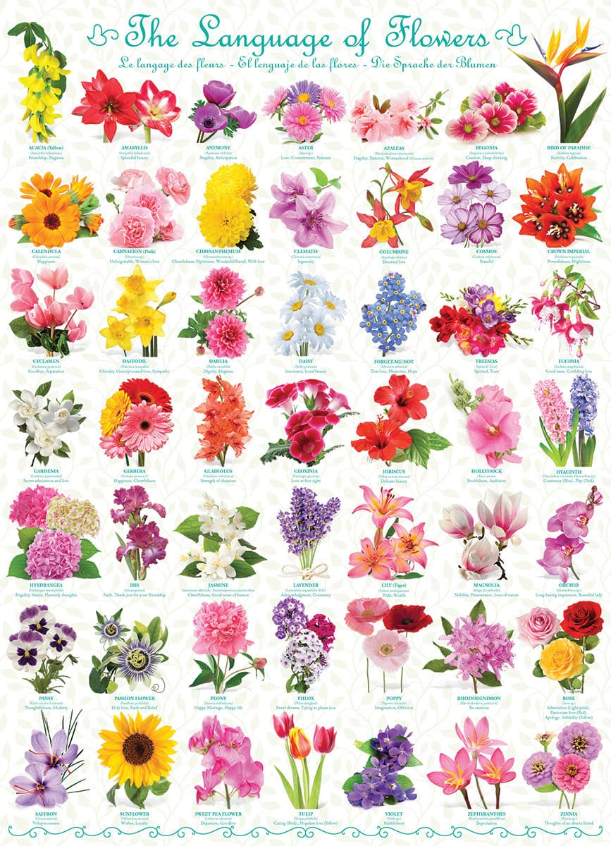 LANGUAGE OF FLOWERS 1000pc - Click Image to Close