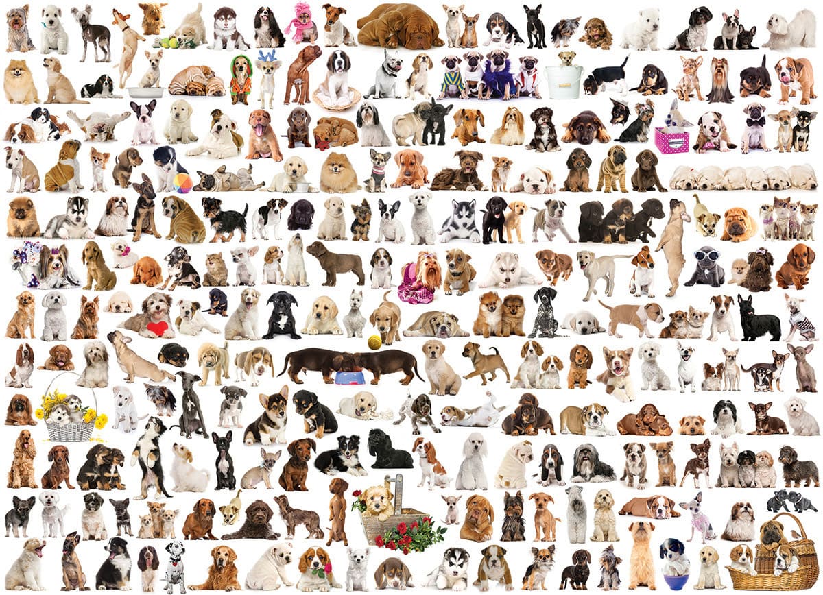 WORLD OF DOGS 1000pc - Click Image to Close