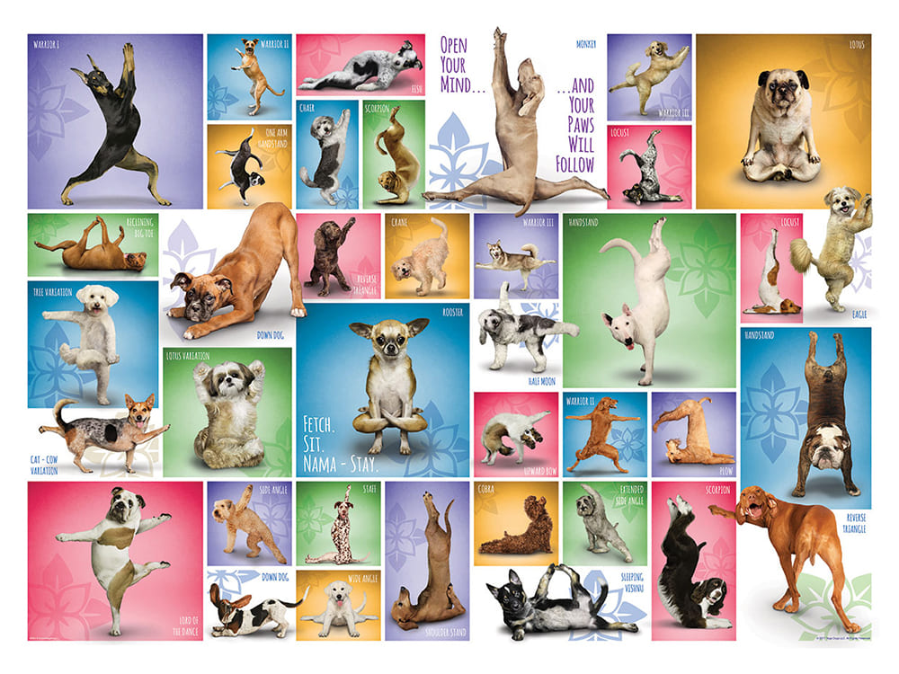 YOGA DOGS 1000pc - Click Image to Close