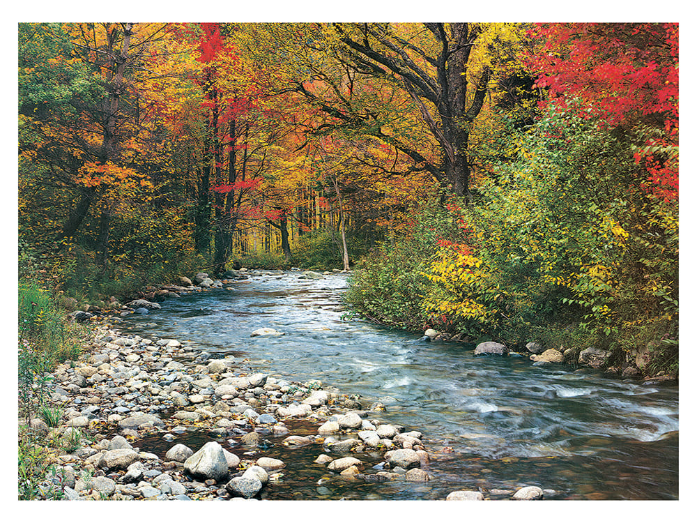 FOREST STREAM 1000pc - Click Image to Close