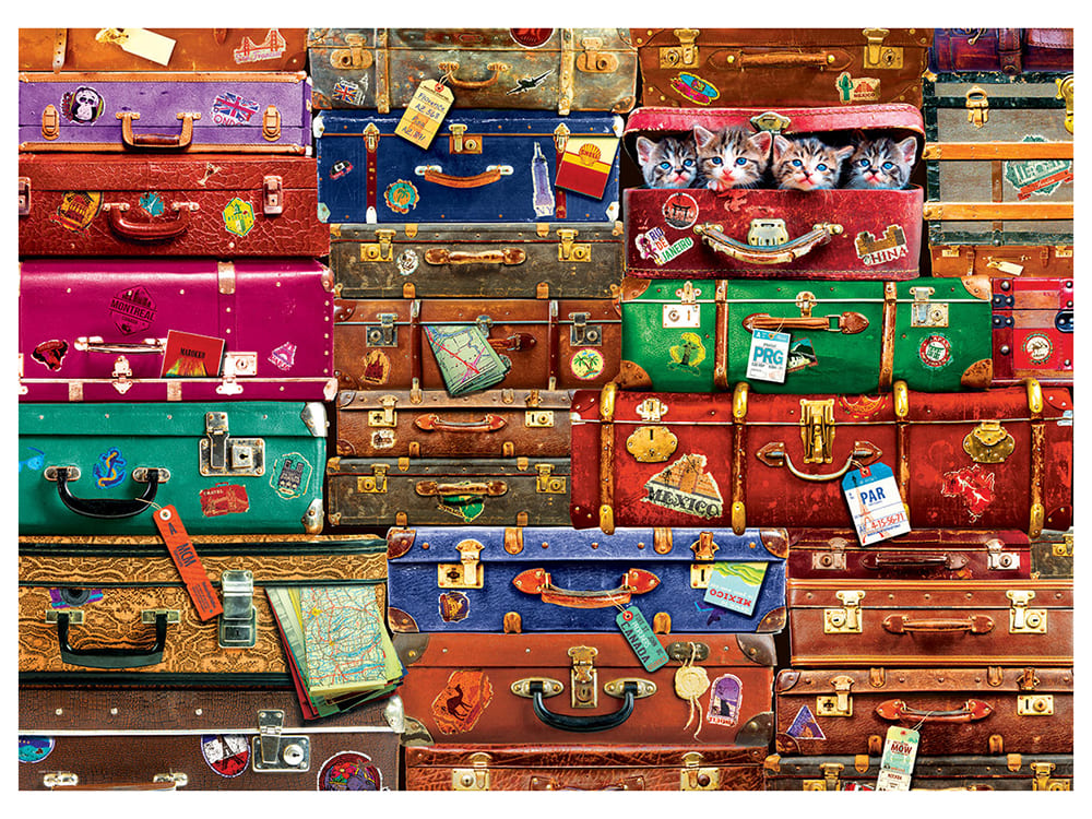 TRAVEL SUITCASES 1000pc - Click Image to Close