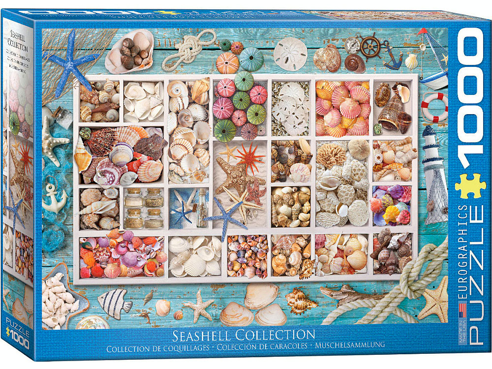 SEASHELL COLLECTION 1000pc