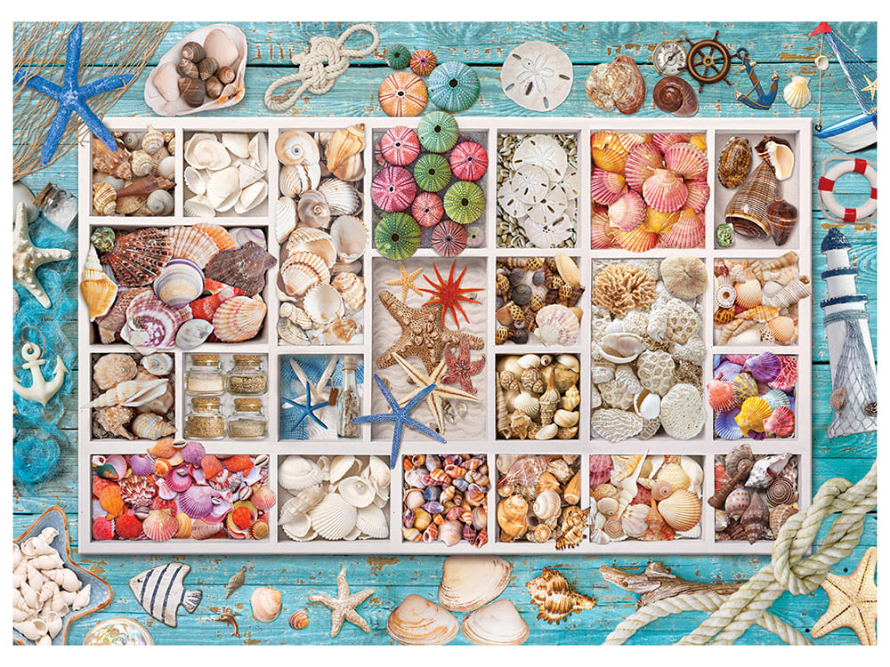 SEASHELL COLLECTION 1000pc - Click Image to Close