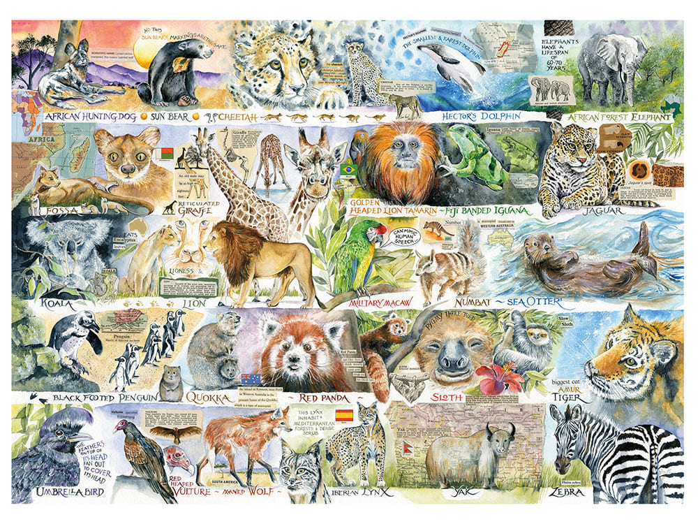 SUN BEARS & SLOTHS 1000pc - Click Image to Close