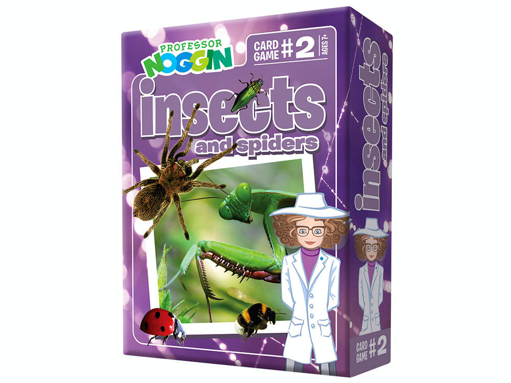 PROF.NOGGIN'S INSECTS SPIDERS