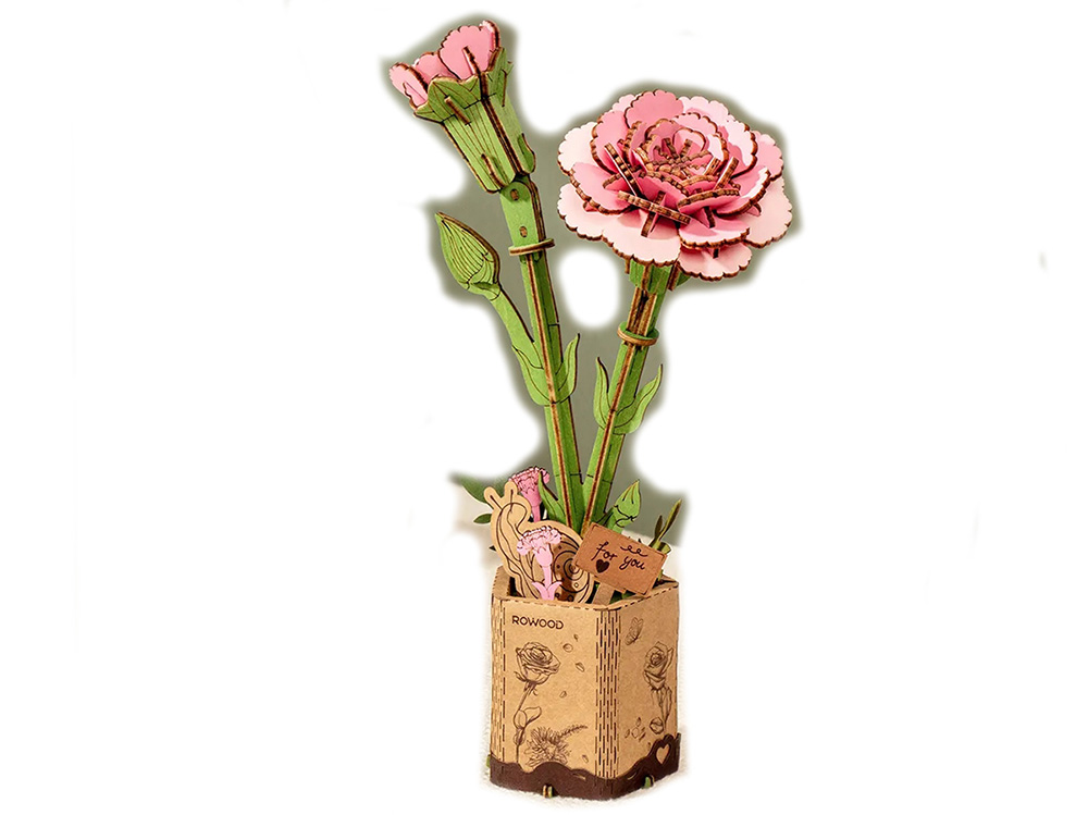 WOOD BLOOM PINK CARNATION KIT