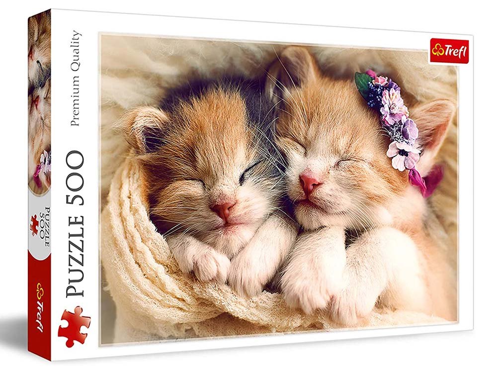 SLEEPING KITTENS 500p - Click Image to Close