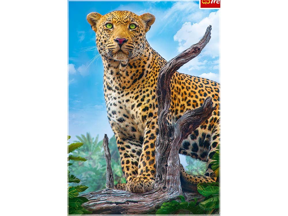 WILD LEOPARD 500pcs - Click Image to Close