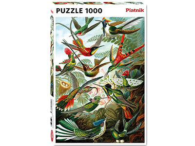 HAECKEL, HUMMINGBIRDS 1000pc