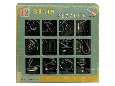 12 BRAIN PUZZLES