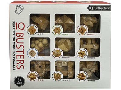 IQ BUSTERS SET OF 9 WOODEN PUZ