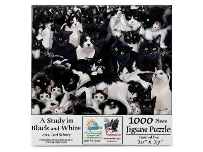STUDY IN BLACK & WHITE 1000pc