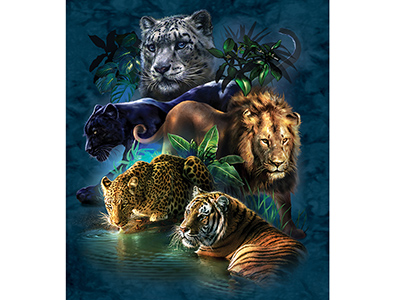 BIG CAT PROWESS 1000pc