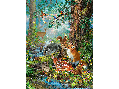 OUT IN THE FOREST 1000pc