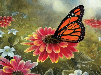 MONARCH BUTTERFLY 500pc - Click Image to Close