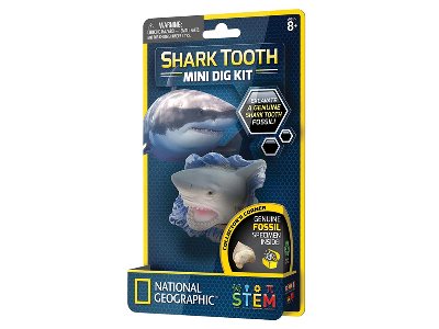 SHARK TOOTH MINI DIG KIT SHARK TOOTH MINI DIG KIT