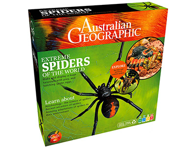 SPIDERS OF THE WORLD AG