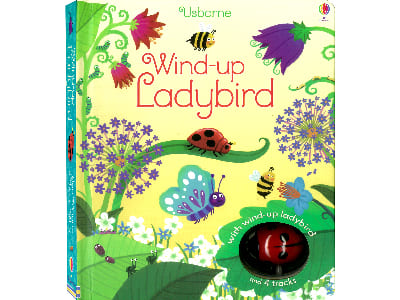 WIND-UP LADYBIRD BOOK